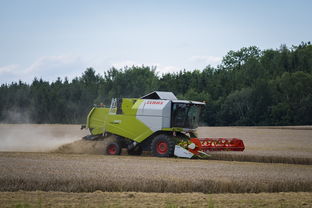 华体会官网入口-田径跨项目交流营探索协同训练新方式，田径跨栏的动作讲解